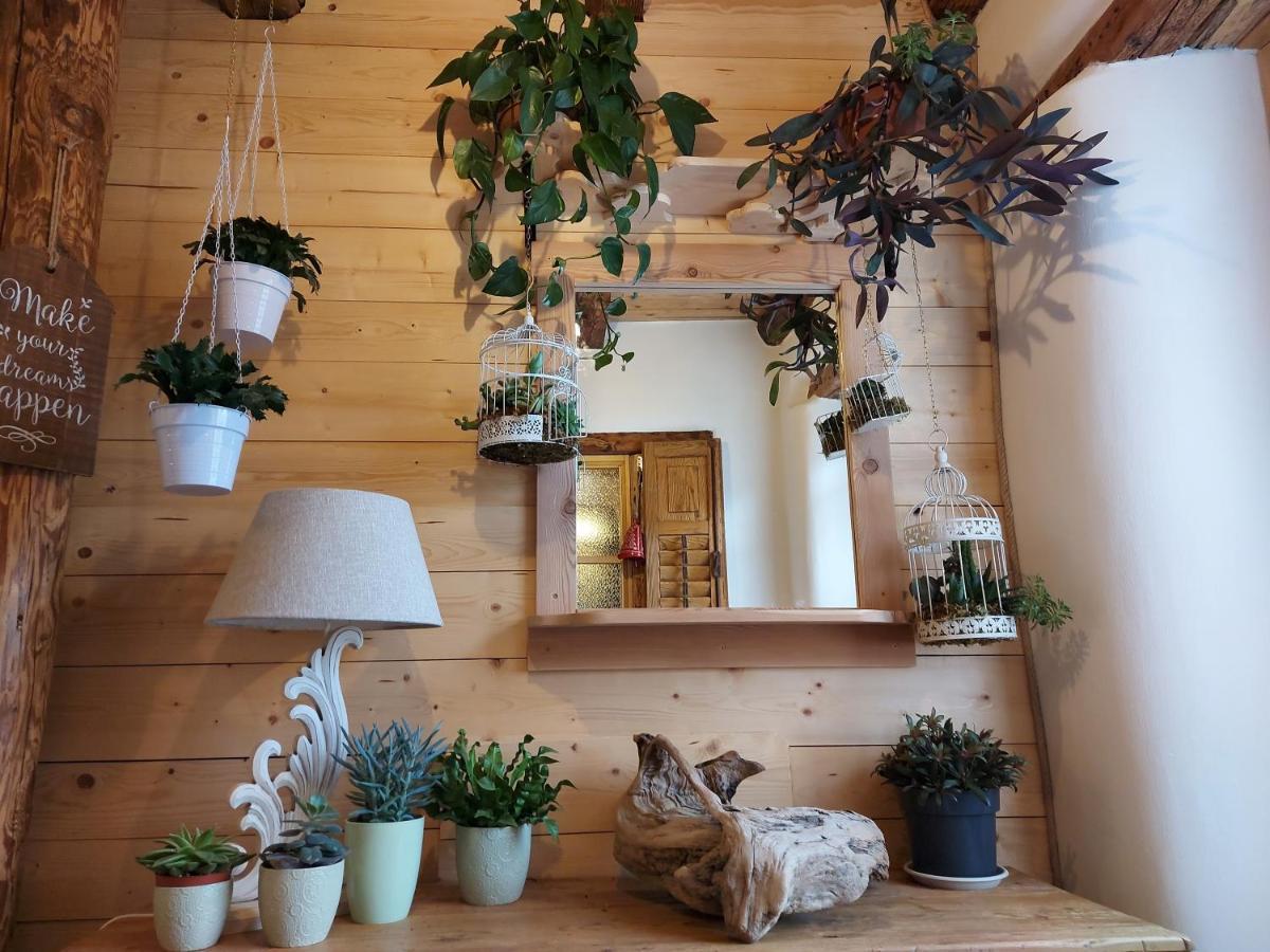 B&B Sognoincadore Domegge di Cadore Eksteriør bilde