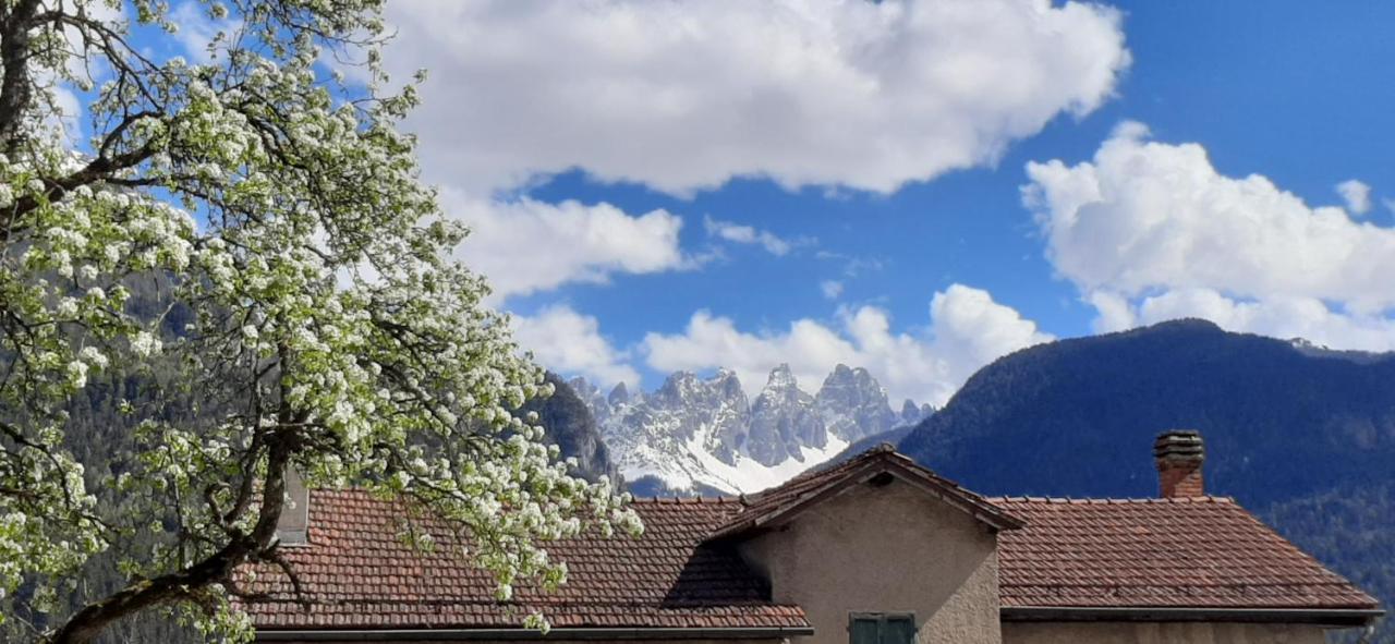 B&B Sognoincadore Domegge di Cadore Eksteriør bilde