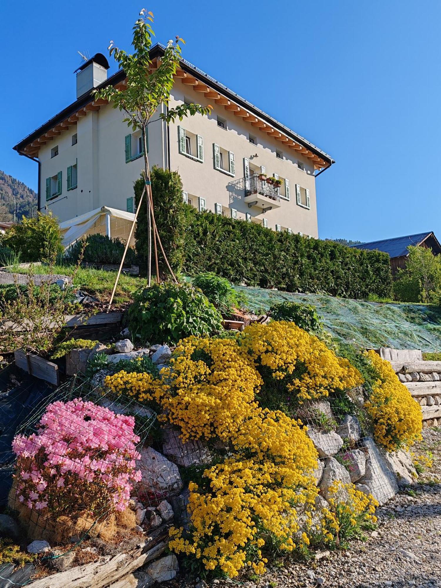B&B Sognoincadore Domegge di Cadore Eksteriør bilde